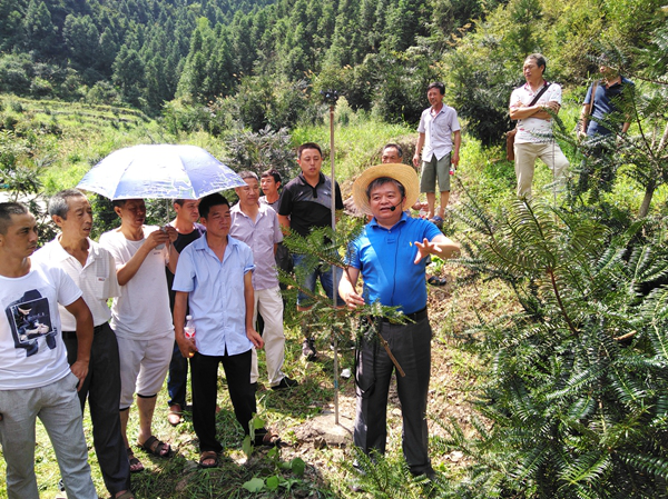 1563248680338524.png 1563248680338524.png