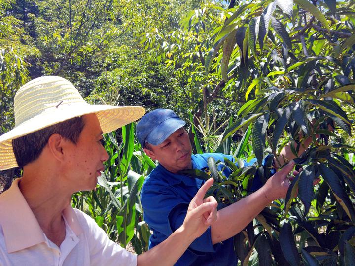 webwxgetmsgimg (13).jpg webwxgetmsgimg (13).jpg