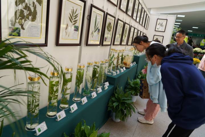 WechatIMG252.jpeg WechatIMG252.jpeg