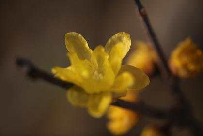 image051.jpg image051.jpg