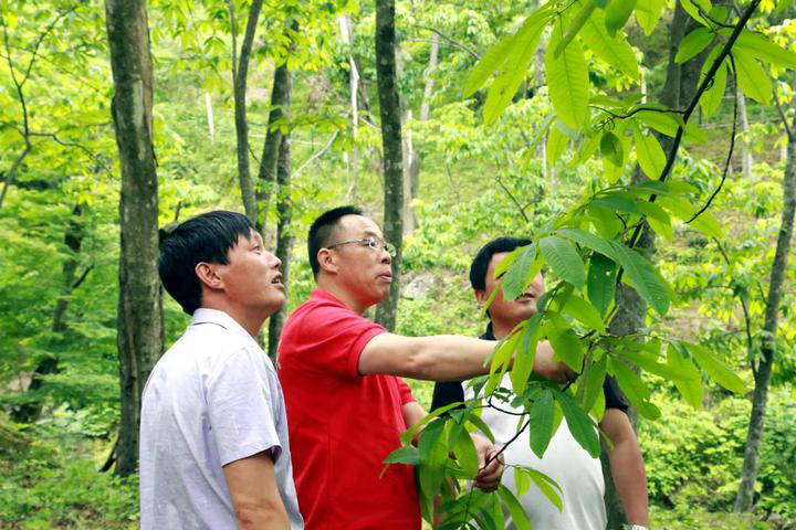 1563248695127652.png 1563248695127652.png