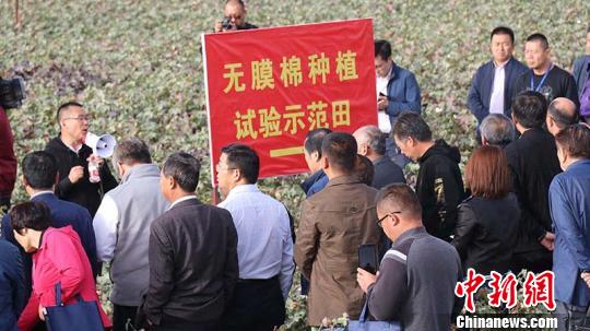 无膜棉技术为新疆农业绿色发展“添翼”(图)