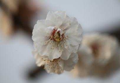 image032.jpg image032.jpg