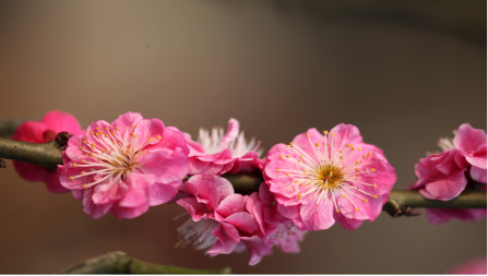 image010.png image010.png