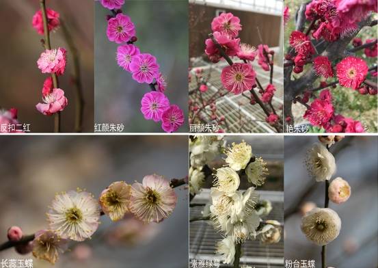 image005.jpg image005.jpg