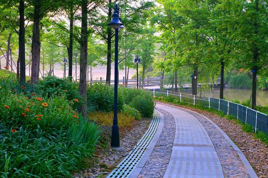 图为浙江农林大学植物园。校方提供