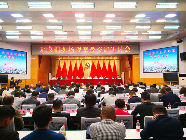 无膜棉综合技术研究与示范取得重大进展