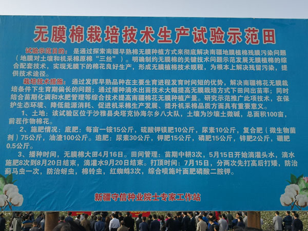 无膜棉综合技术研究与示范取得重大进展