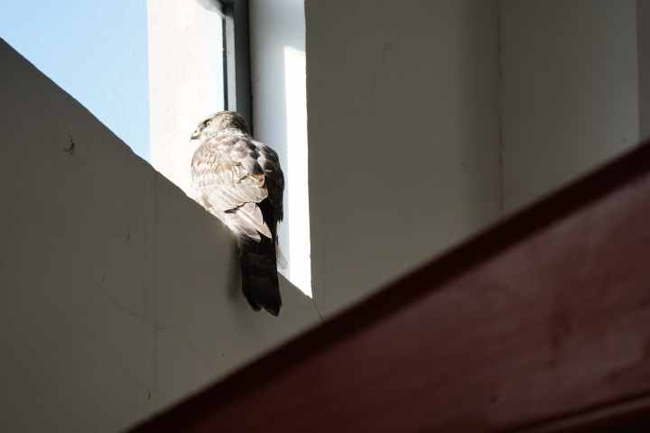 微信图片_20210113165305.jpg 微信图片_20210113165305.jpg