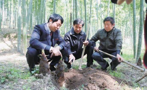 把“科技竹”种在绿水青山间