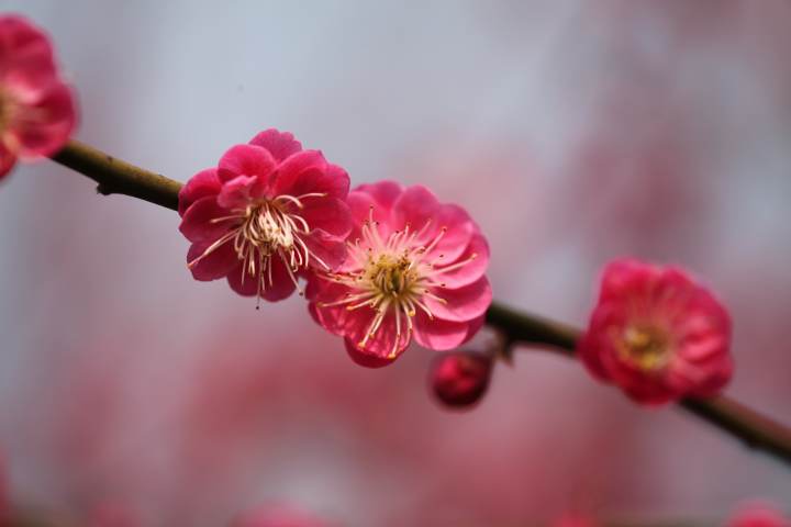 image012.jpg image012.jpg