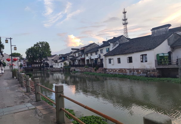 跟新老党员学党史 浙江农林大学百名学生记者在社会实践中增强党史学习教育