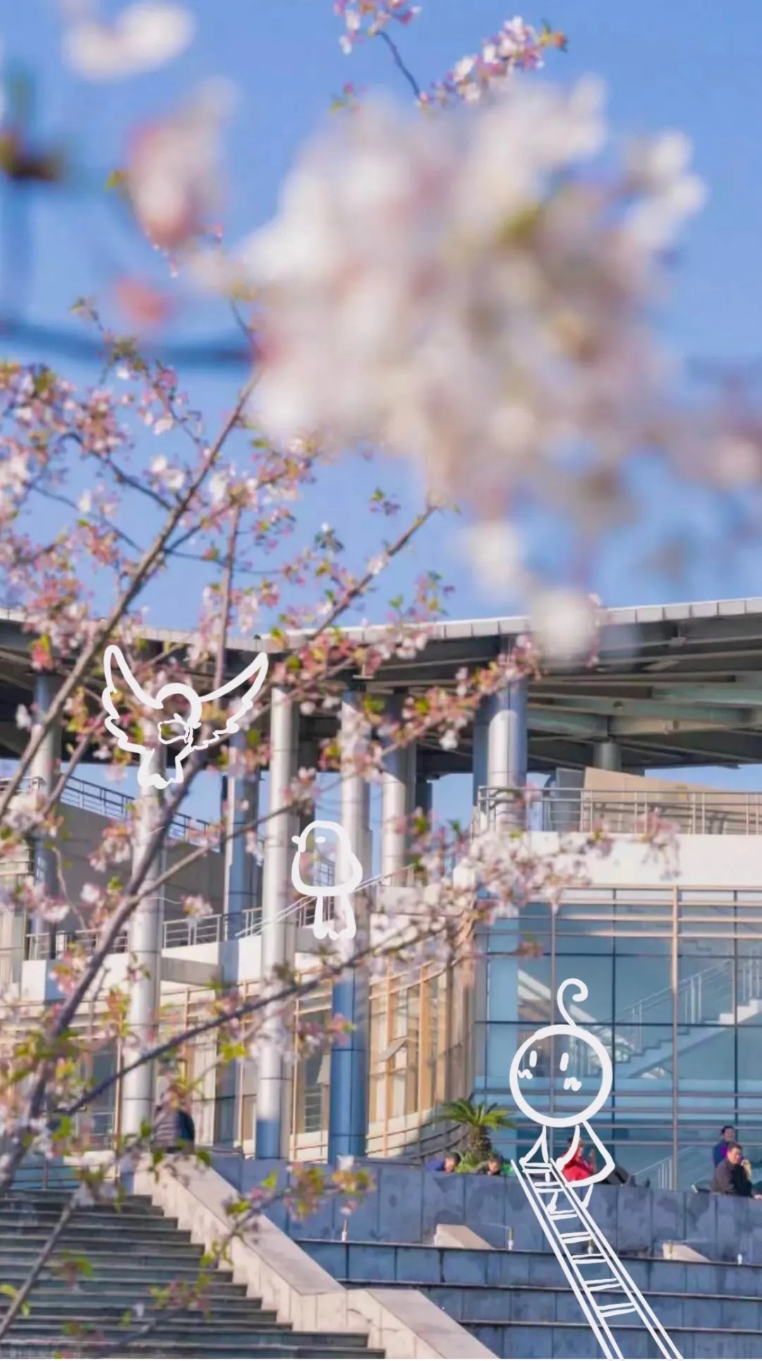 花枝横斜，托住阳光。