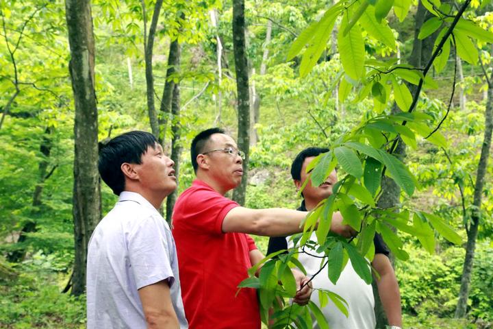 微信图片_20190613103812.jpg 微信图片_20190613103812.jpg