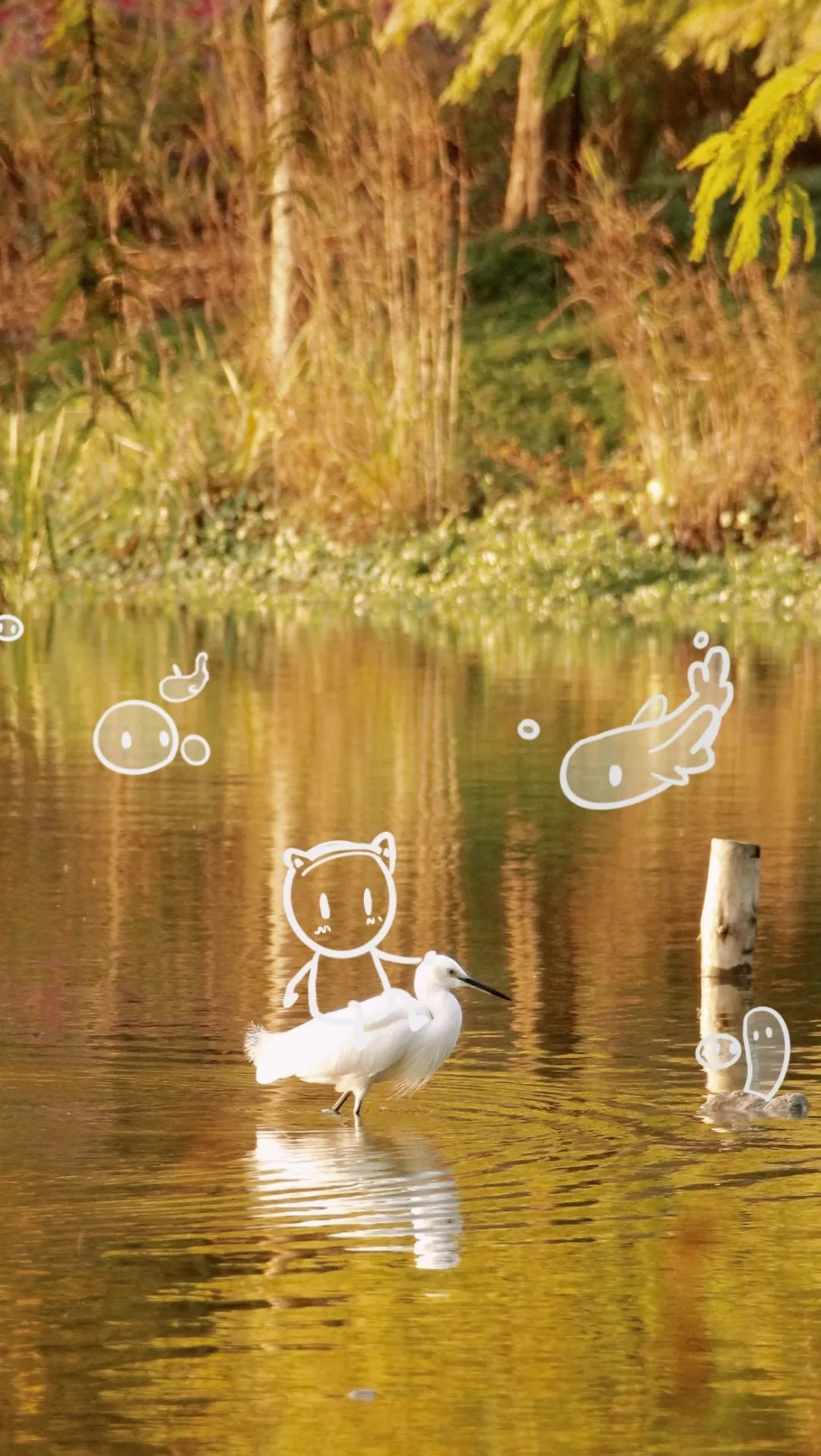 鸟儿驻足。（本图集资料来源：“浙江农林大学”微信公众号）