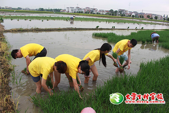 W020160721392309826258