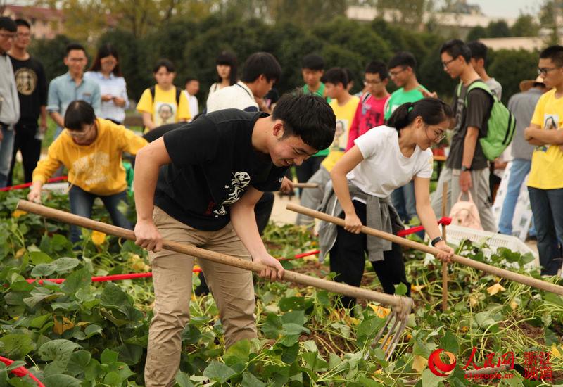 开学第一课,到农作园参加劳动耕作去
