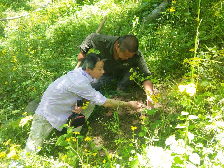 webwxgetmsgimg (14).jpg webwxgetmsgimg (14).jpg