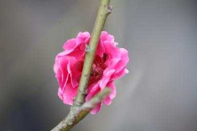 image008.jpg image008.jpg