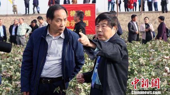 中国工程院院士、著名棉花遗传育种家、国家现代农业产业技术体系棉花体系首席科学家喻树迅院士给浙江农林大学校党委书记周国模介绍无膜棉生长情况。　王小军 摄