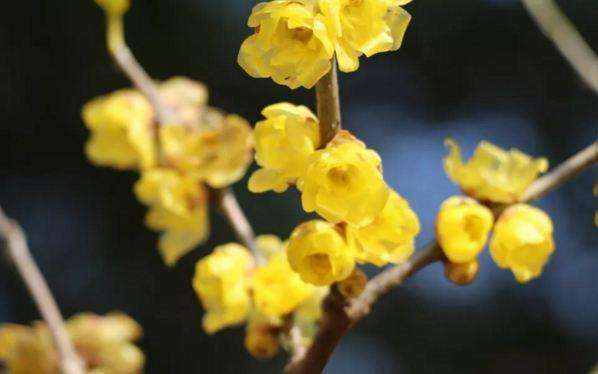 image059.jpg image059.jpg