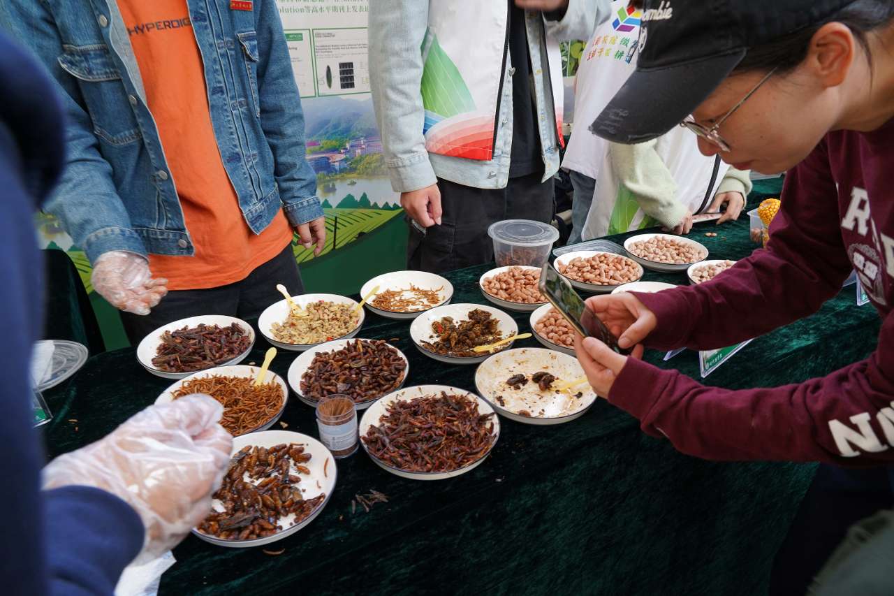 让校园每个角落成为生态课堂,浙农林大举办首届生态节