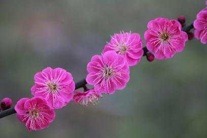 image025.jpg image025.jpg