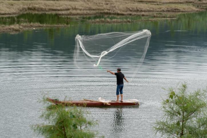 跟新老党员学党史 浙江农林大学百名学生记者在社会实践中增强党史学习教育